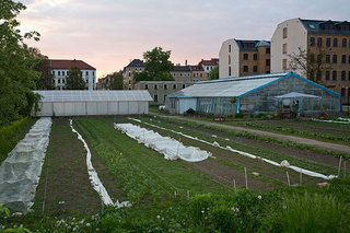 Urbane Landwirtschaft, Leipzig